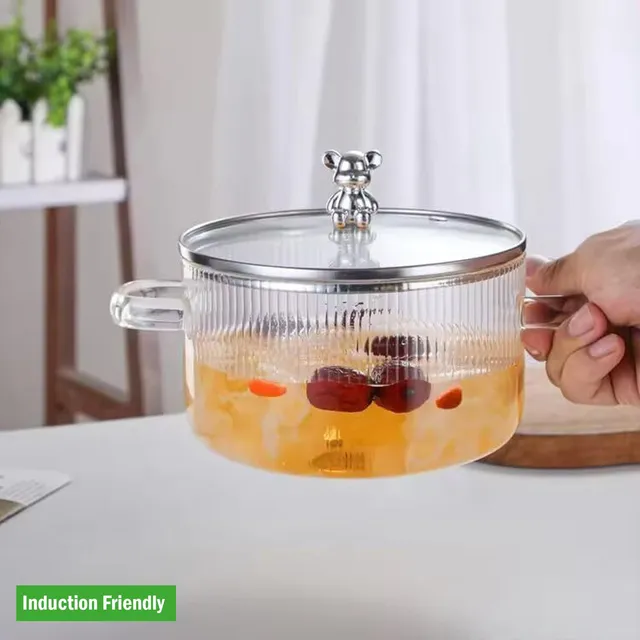 zelovi Teddy Big Size 1600 ML Glass Serving Bowl with Lid Cooking Pot Mixing Induction Bottom Non-Stick Coated Cookware Set