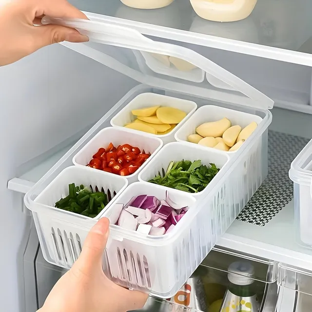 STORITE Plastic Fridge Container  - 2700 ml