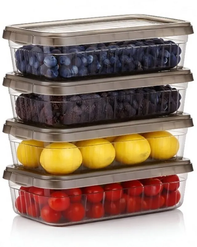 Masox Store Plastic Fridge Container  - 2000 ml