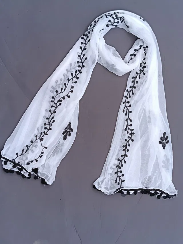 NORTH FASHION Chiffon Embroidered, Applique Women Dupatta