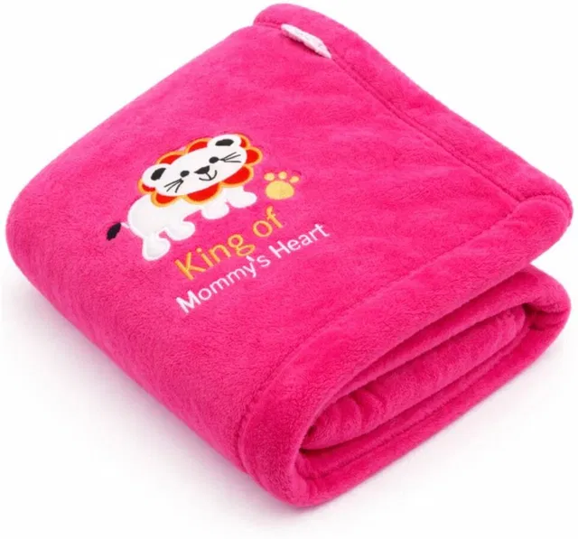Tinitot Embroidered Crib Crib Baby Blanket for  Mild Winter