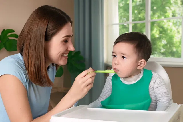 Priyabhakta Silicone Baby Bib Waterproof Adjustable Feeding Bib for Toddlers (6M–5Y)