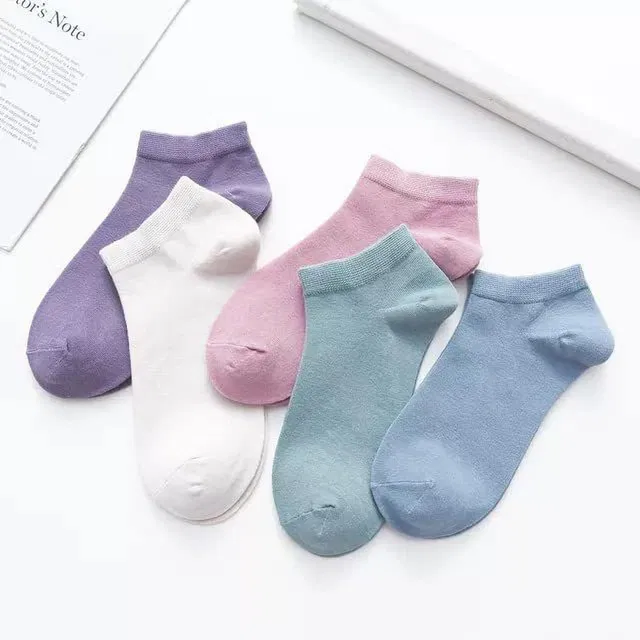 YANTRAM ENTERPRISES Women Ankle Length
