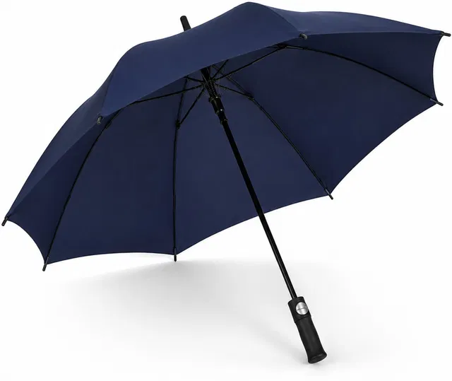 SNOWBUY Premium Auto Open Umbrella 30 inches | heavy Duty Plastic Frame Umbrella