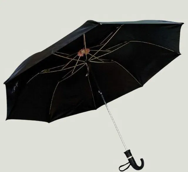 Rainpopson Two Fold Umbrella For Men & Women SOFU200 Umbrella