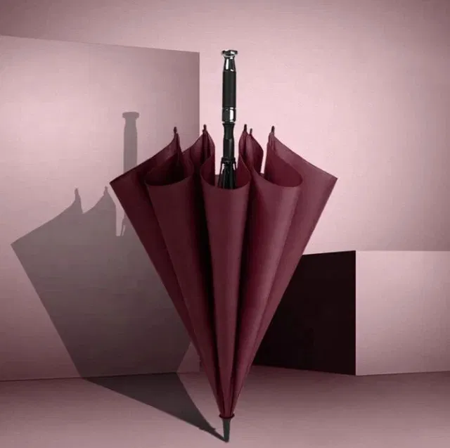 AshandRoh Umbrella Windproof Auto Open & Close,Collapsible Folding Small Compact Umbrella