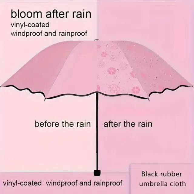 Kadio Magic. Umbrella Umbrella