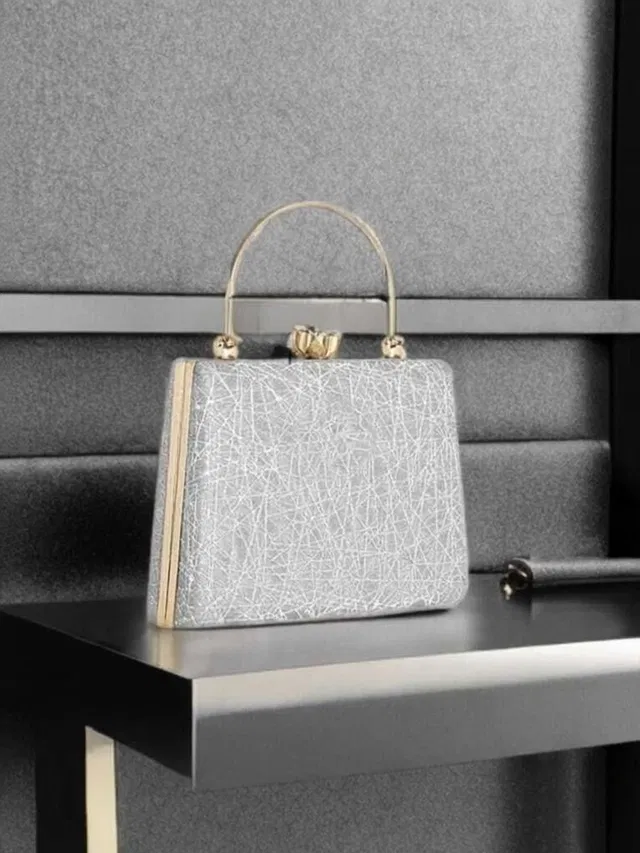 Alzius Party Silver  Clutch