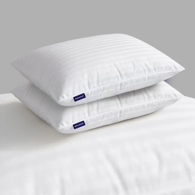 WELLGIVER Microfibre Sleeping Pillow Pack of 2 Stripes Ultra Soft Bed Pillow for Sleeping, 41x61 cm, Soft & Fluffy, with Inner Cover