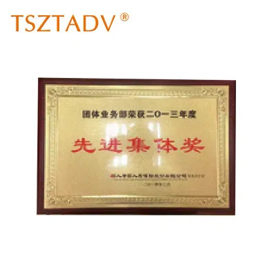 TSZTADV奖牌 50cm*35cm块