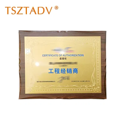 TSZTADV 奖牌 30cm-40cm 个