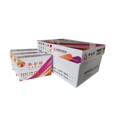 新金骐 A5 70g彩色复印纸