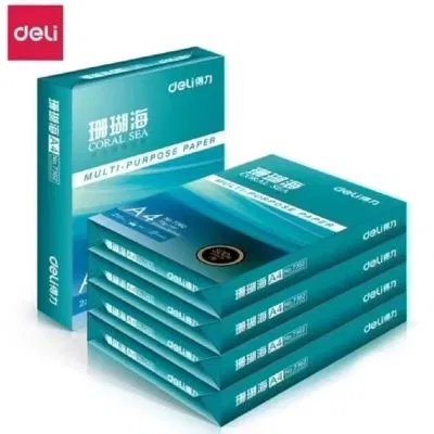 得力(deli)珊瑚海A4打印纸 80g500张*4包一箱