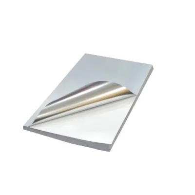 驰洛科 CLBJ170100SR 170mm*100mm 标签胶贴 1.00张/卷(计价单位:卷)银色