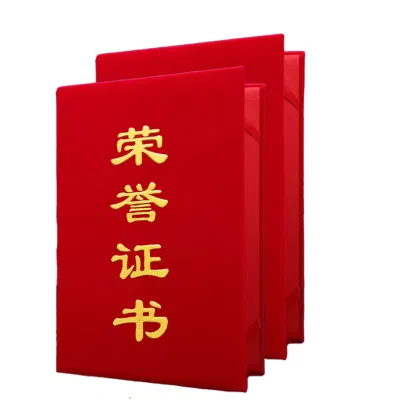 凌美盛 绒面8K荣誉证书266*180mm5508 本