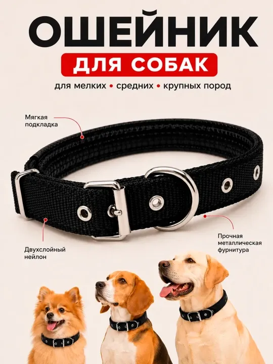 Ошейник для собак и кошек нейлоновый, усиленный, с мягкой подкладкой