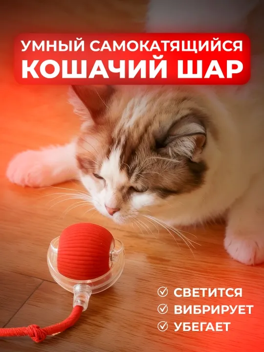 Умный самокатящийся кошачий шар